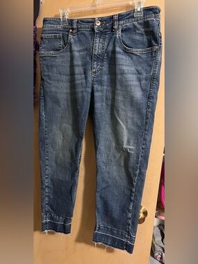 Brunello Cucinelli Straight Cropped Jeans